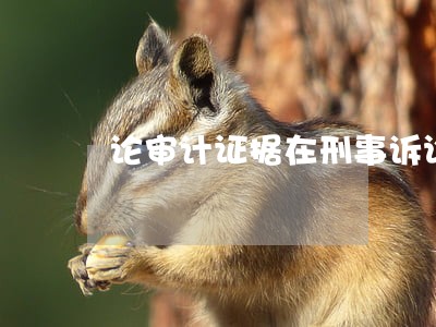 论审计证据在刑事诉讼中的适用 论审计证据在刑事诉讼中的适用