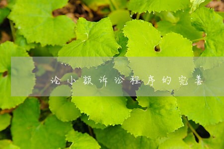 论小额诉讼程序的完善 论小额诉讼程序的完善