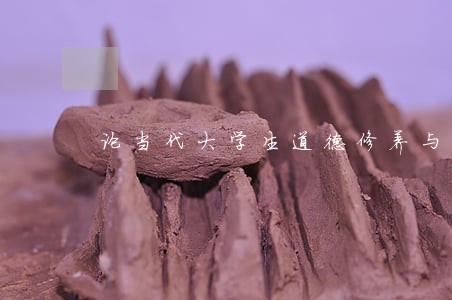 论当代大学生道德修养与法律素质 论当代大学生道德修养与法律素质