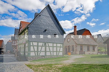 论恢复性本土化的困境 论恢复性本土化的困境