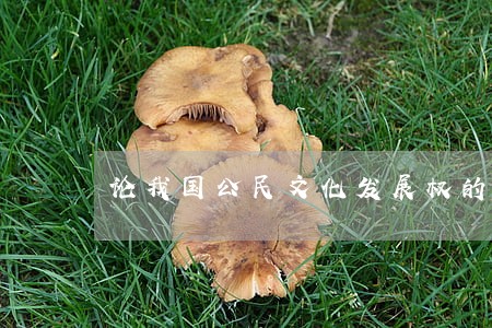 论我国公民文化发展权的宪法保障
