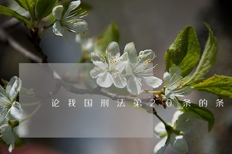论我国刑法第20条的条款关系