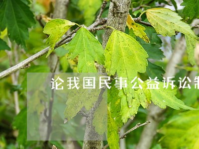 论我国民事公益诉讼制度之完善 论我国民事公益诉讼制度之完善