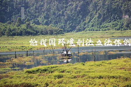 论我国环境刑法立法体例问题 论我国环境刑法立法体例问题