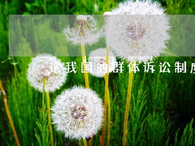 论我国的群体诉讼制度