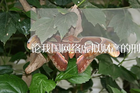 论我国网络虚拟财产的刑法保护 论我国网络虚拟财产的刑法保护