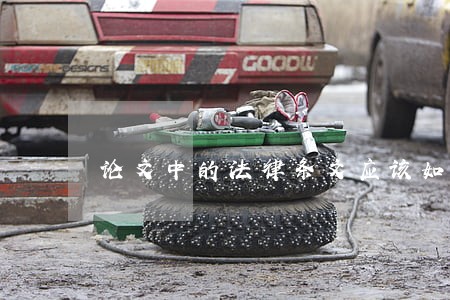 论文中的法律条文应该如何引用