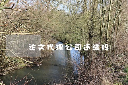 论文代理公司违法吗 论文代理公司违法吗