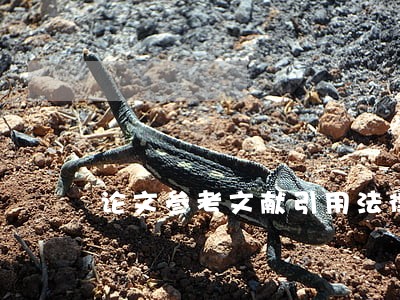 论文参考文献引用法律条文格式 论文参考文献引用法律条文格式