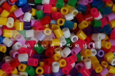 论核心价值观的培育 论核心价值观的培育