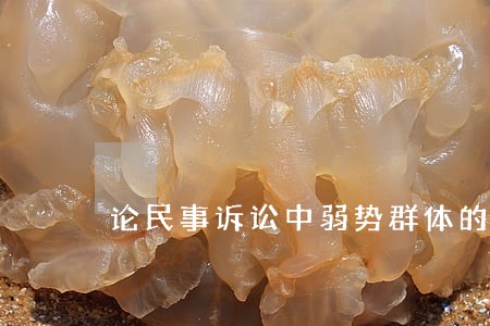 论民事诉讼中弱势群体的保护 论民事诉讼中弱势群体的保护