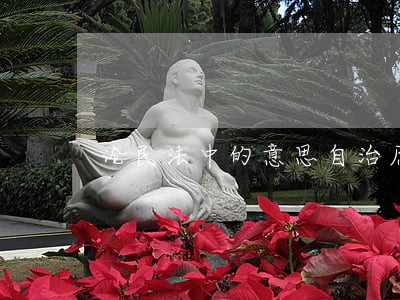 论民法中的意思自治原则