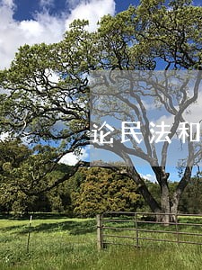 论民法和民事诉讼法的关系 论民法和民事诉讼法的关系