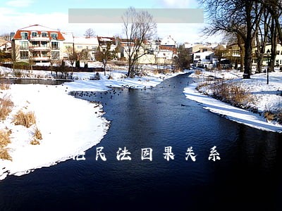 论民法因果关系 论民法因果关系