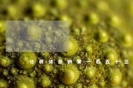 论民法总则第一百五十三条 论民法总则第一百五十三条