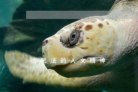 论民法的人文精神 论民法的人文精神