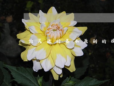 论民法的基本原则的提纲 论民法的基本原则的提纲