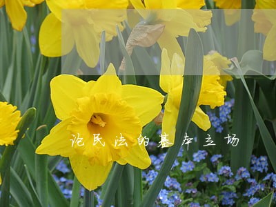 论民法的基本立场 论民法的基本立场
