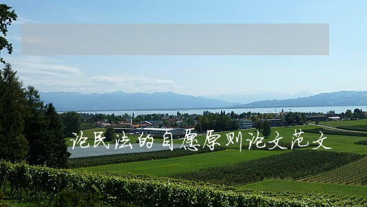 论民法的自愿原则论文范文 论民法的自愿原则论文范文