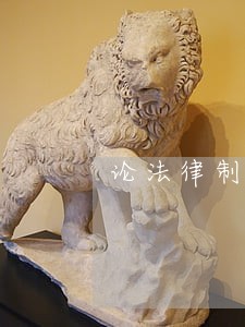 论法律制度是否需要进一步完善 论法律制度是否需要进一步完善