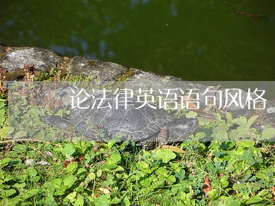 论法律英语语句风格 论法律英语语句风格