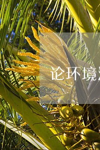 论环境法益在刑法中的保护 论环境法益在刑法中的保护