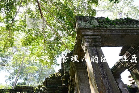 论破产管理人的法律性质 论破产管理人的法律性质