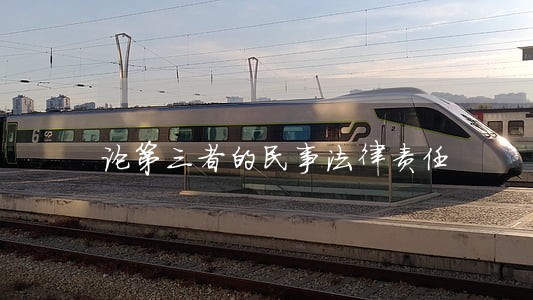 论第三者的民事法律责任 论第三者的民事法律责任