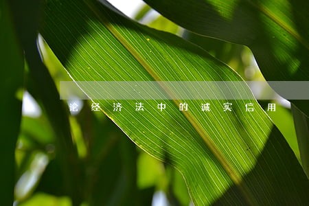 论经济法中的诚实信用 论经济法中的诚实信用