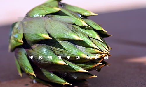 论经济法主体的范围 论经济法主体的范围