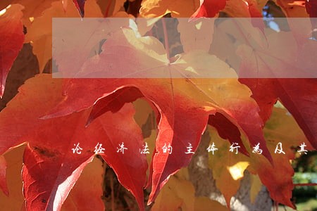 论经济法的主体行为及其属性