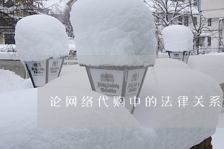 论网络代购中的法律关系 论网络代购中的法律关系