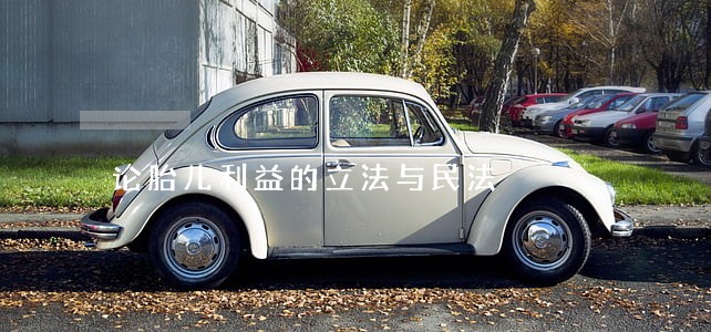 论胎儿利益的立法与民法