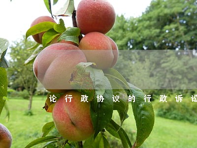 论行政协议的行政诉讼判决