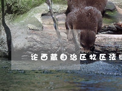 论西藏自治区牧区法律援助