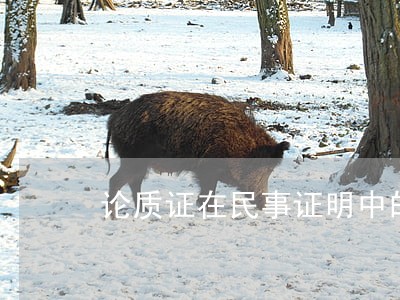 论质证在民事证明中的定位