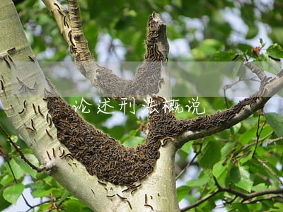 论述刑法概说 论述刑法概说