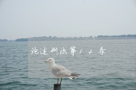 论述刑法第12条 论述刑法第12条