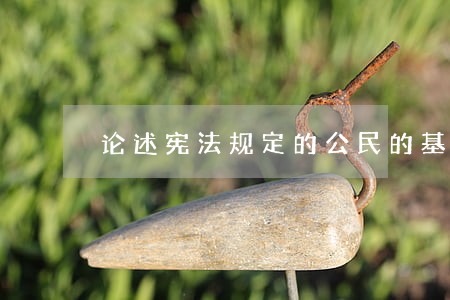 论述宪法规定的公民的基本权利