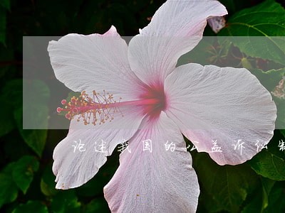论述我国的公益诉讼制度