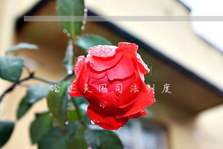 论述美国司法制度