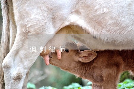 讽刺律师 讽刺律师