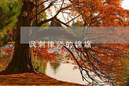 讽刺律师的锦旗 讽刺律师的锦旗