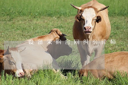 设备采购合同纠纷律师 设备采购合同纠纷律师