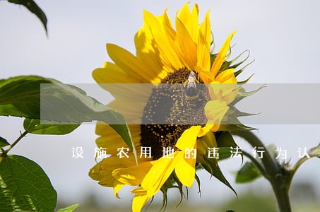 设施农用地的违法行为认定 设施农用地的违法行为认定