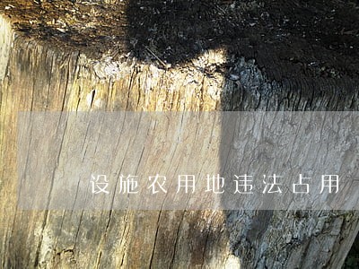 设施农用地违法占用 设施农用地违法占用