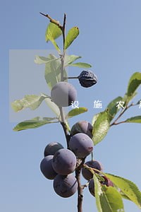 设施农用地违法违规整治 设施农用地违法违规整治