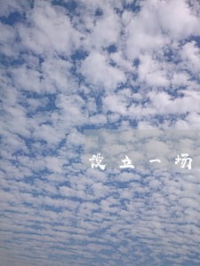 设立一场政策法律咨询