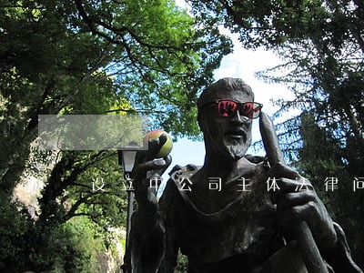 设立中公司主体法律问题研究 设立中公司主体法律问题研究