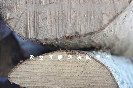 设立互联网法院意义 设立互联网法院意义